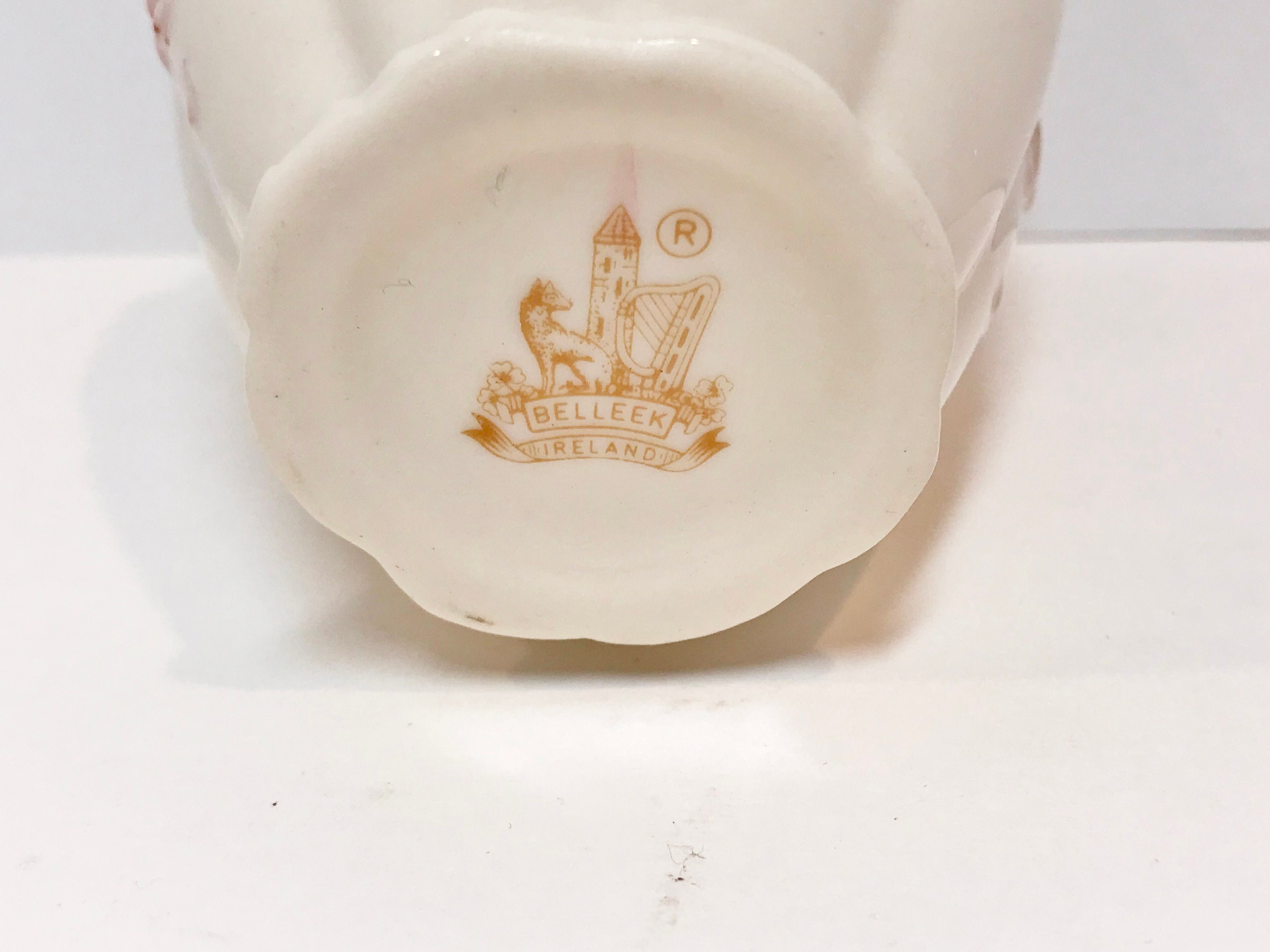 Reserve for Sr, Belleek Thorn Vase Small, Belleek Vase, Irish Vase
