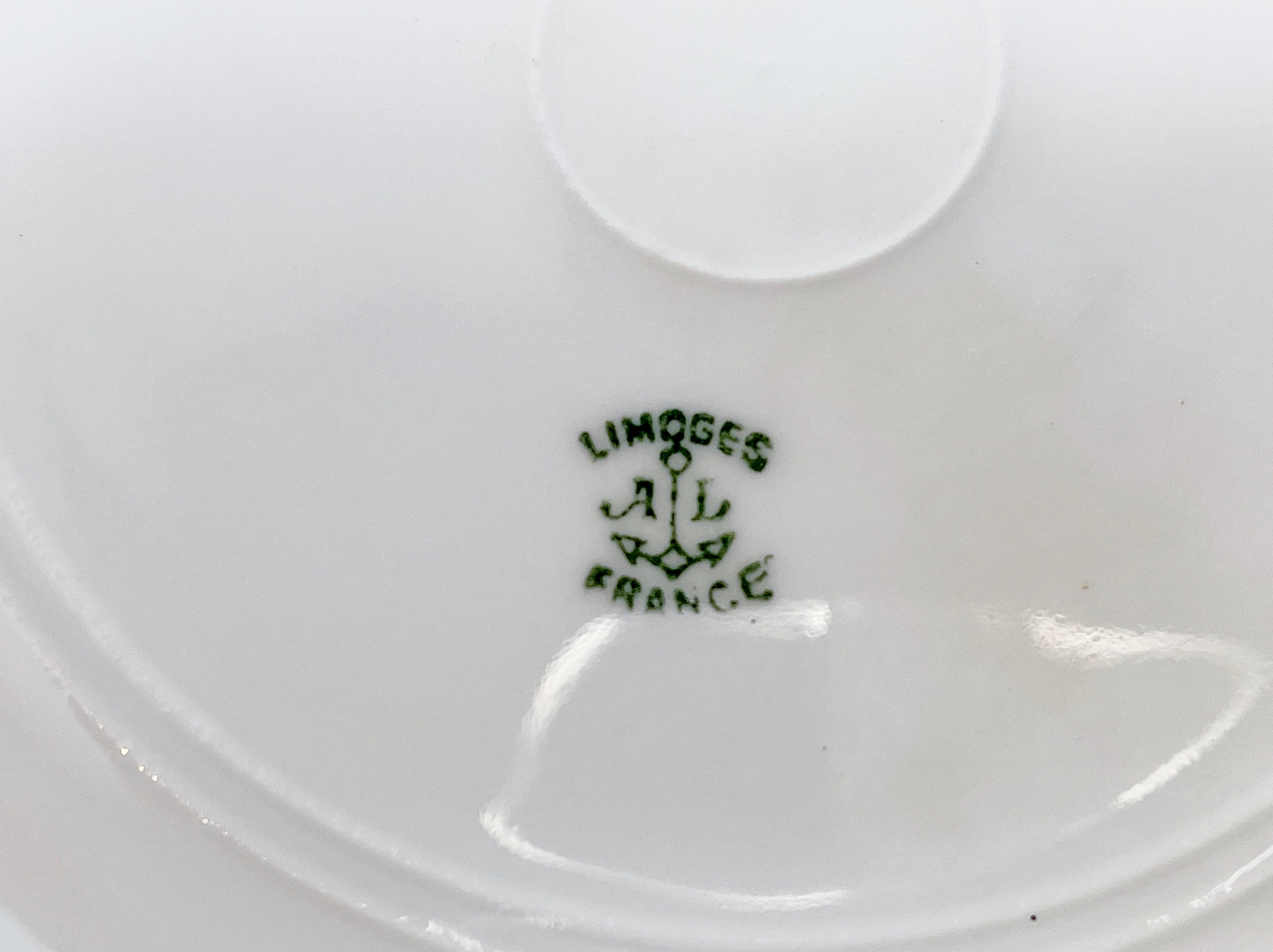 Alfred Lanternier Limoges France Plates, French Limoges Plates, Floral