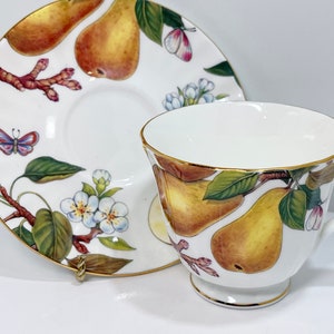 Vintage Butterfly Fruit Teacup and Saucer: Royal Kingston Bone China