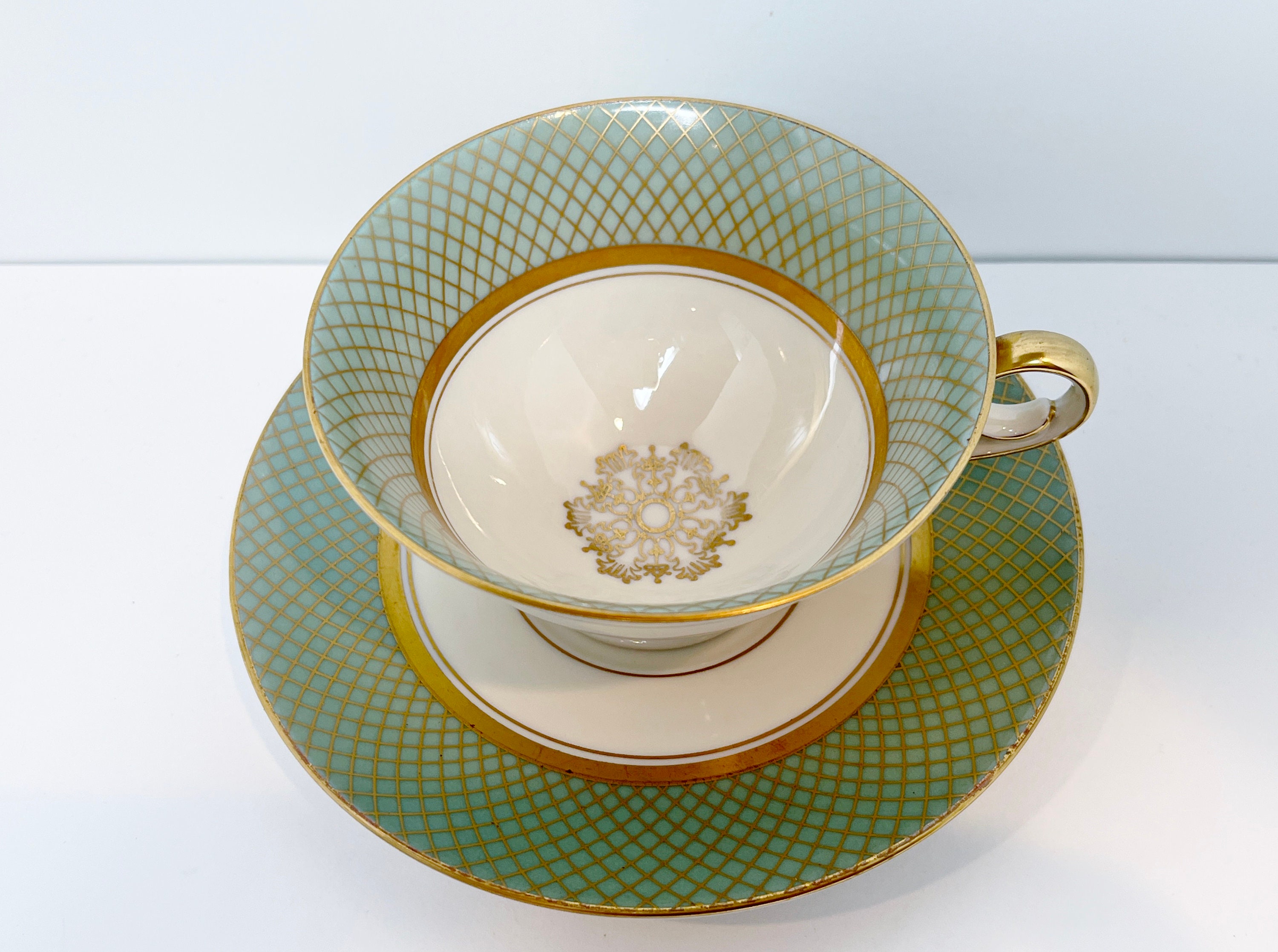 Seltmann Bavarian Teacup and Saucer, Bavarian Teacup, German Teacup