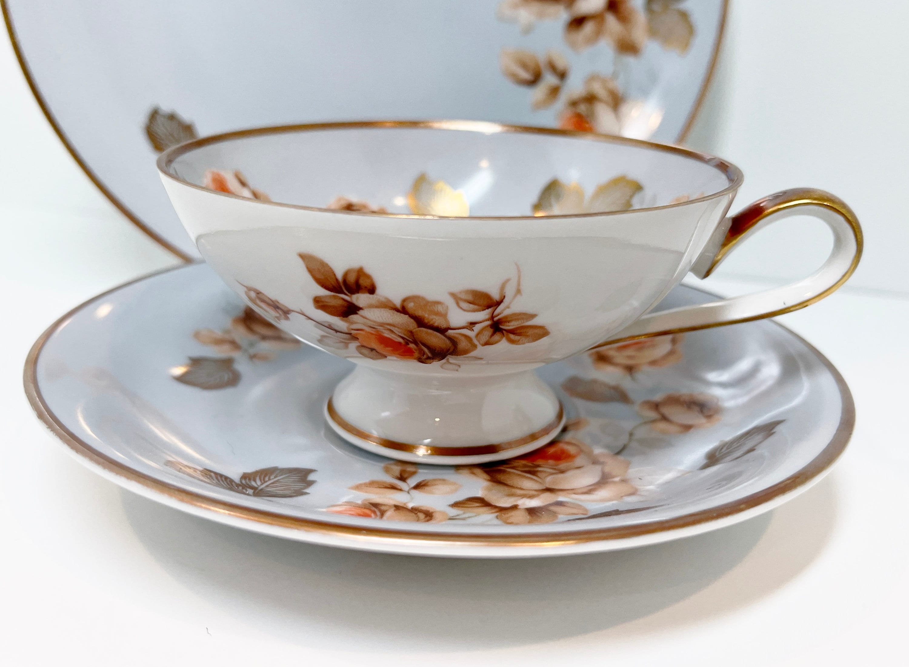 Stellar RWK Teacup and Saucer, Bavarian Tea Cups, Rudolf Wachter