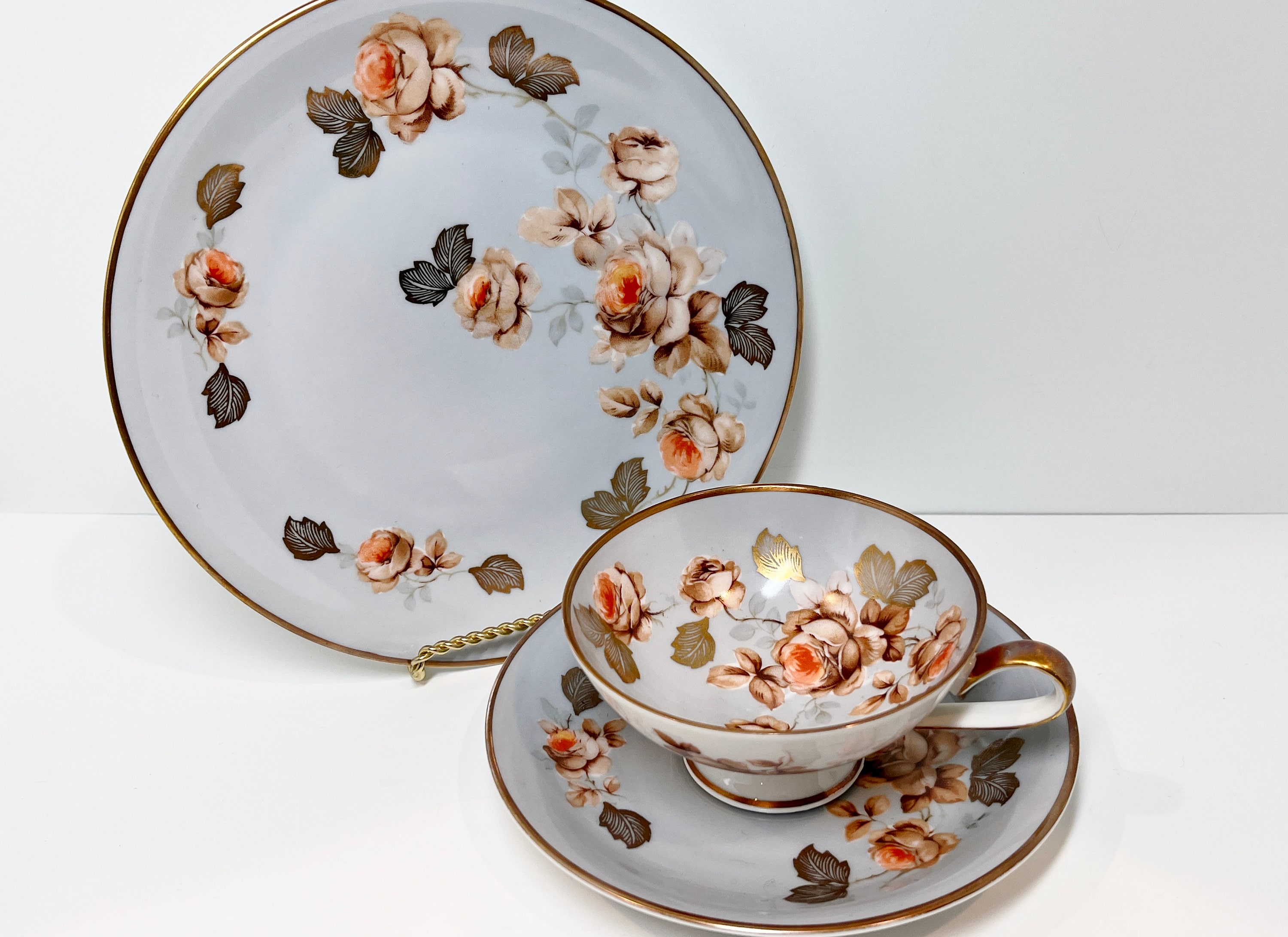 Stellar RWK Teacup and Saucer, Bavarian Tea Cups, Rudolf Wachter