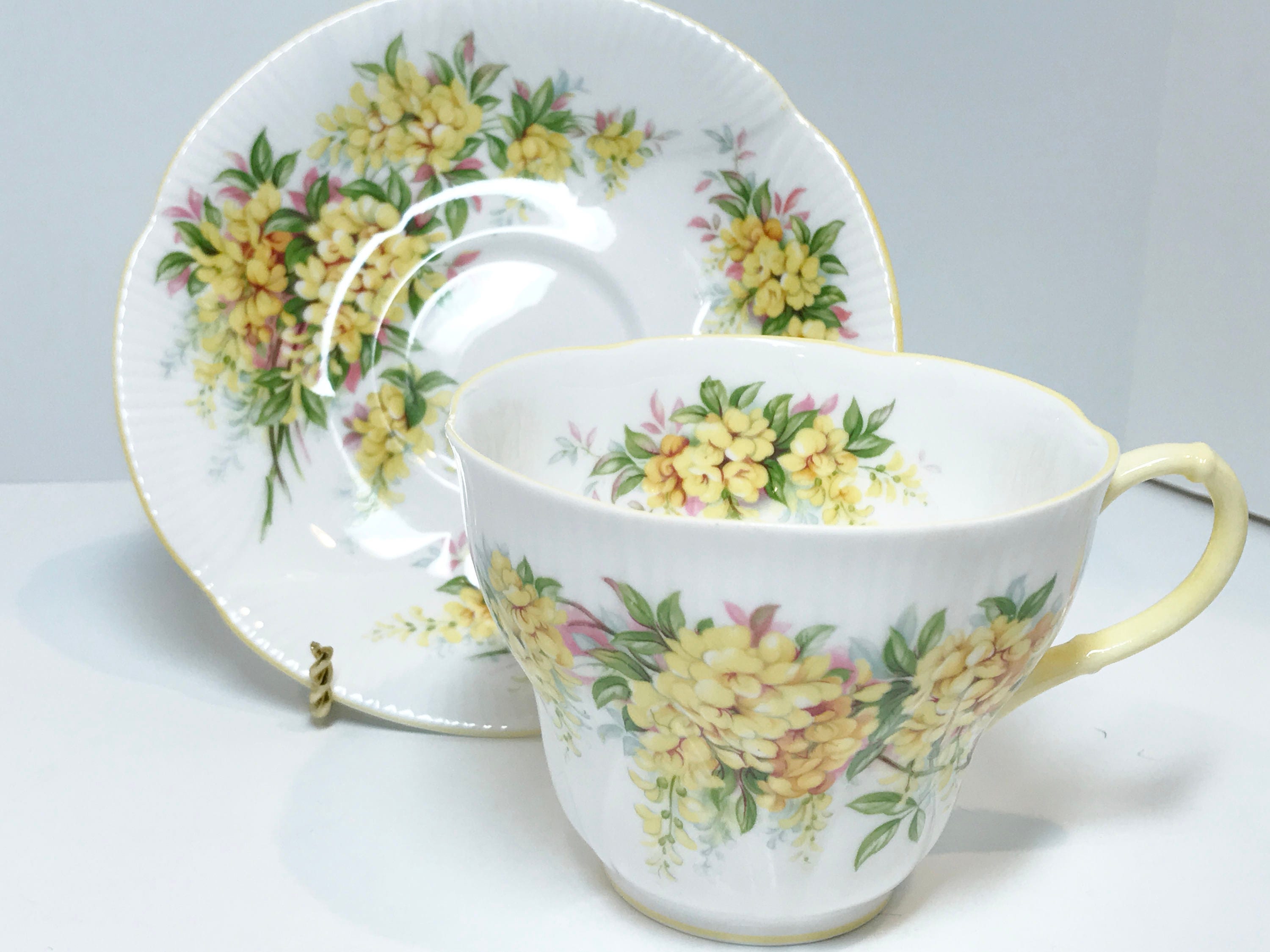 Royal Albert Tea Cup and Saucer, Blossom Time Series, Laburnum Pattern ...