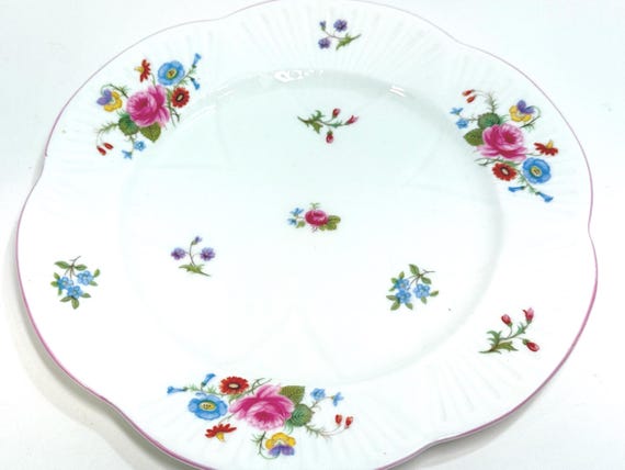 Shelley Rose and Red Daisy Plate: Fine Bone China, 8.25 inch