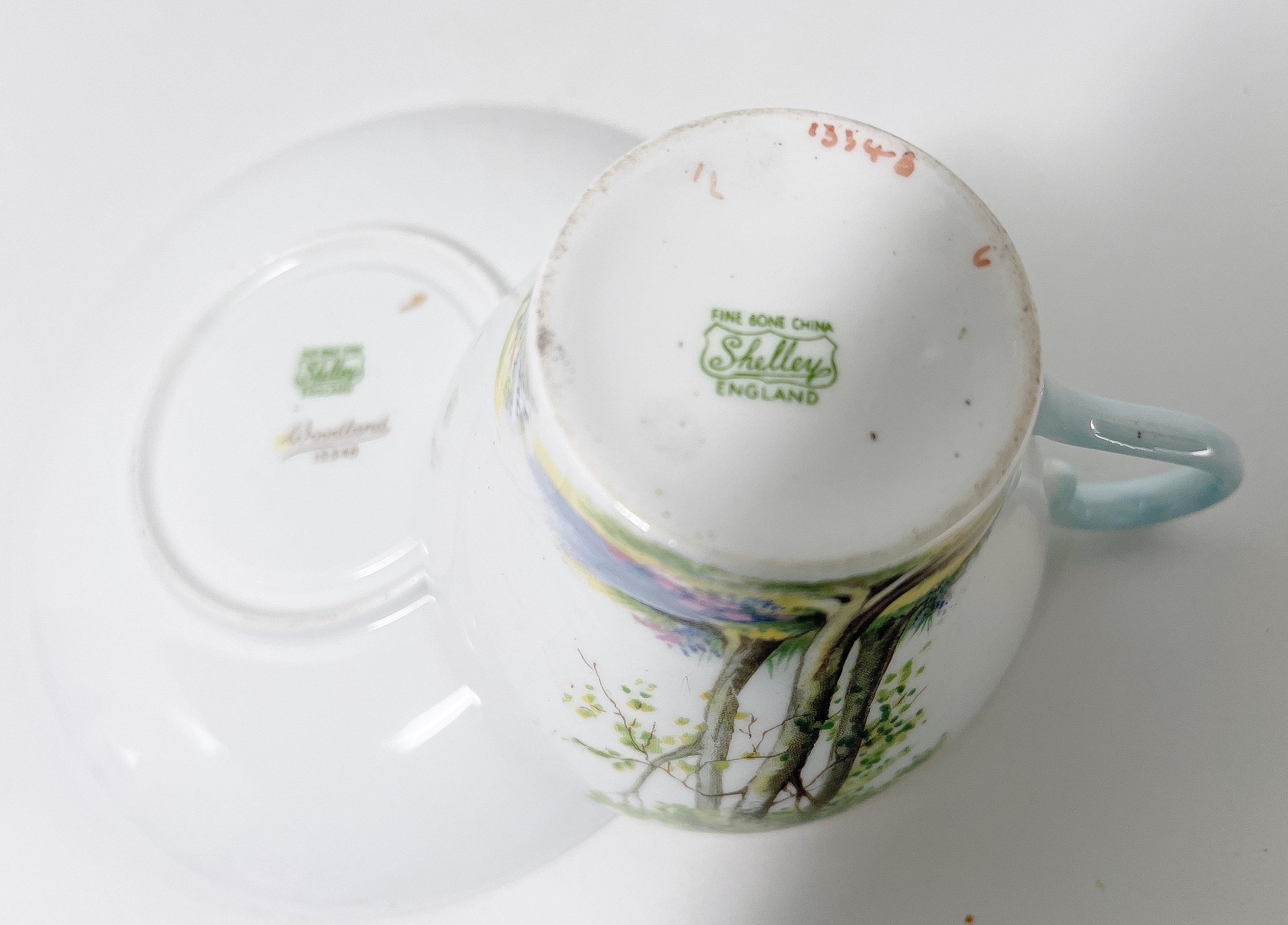 Shelley Woodland, Shelley Teacups, Shelley China, Shelley Bone China