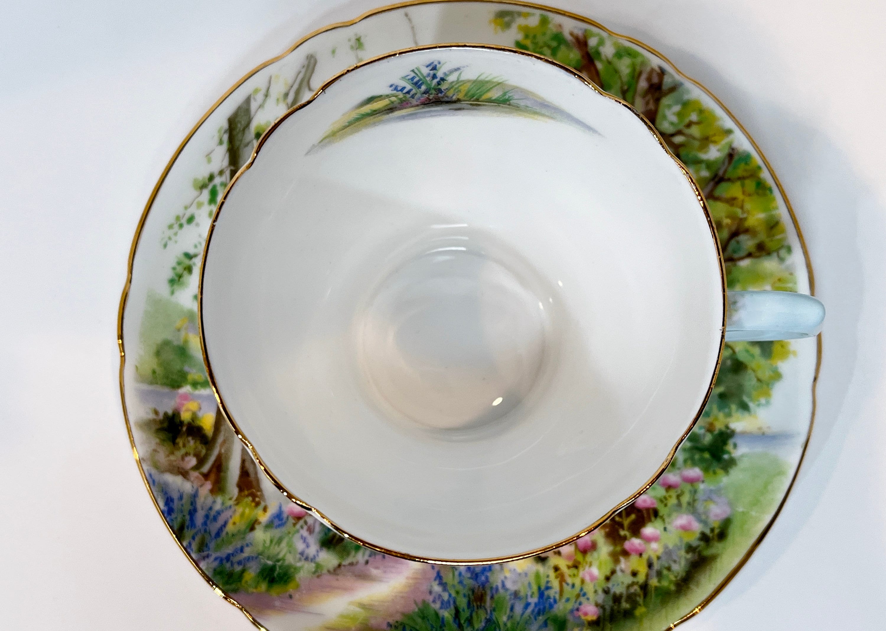 Shelley Woodland, Shelley Teacups, Shelley China, Shelley Bone China