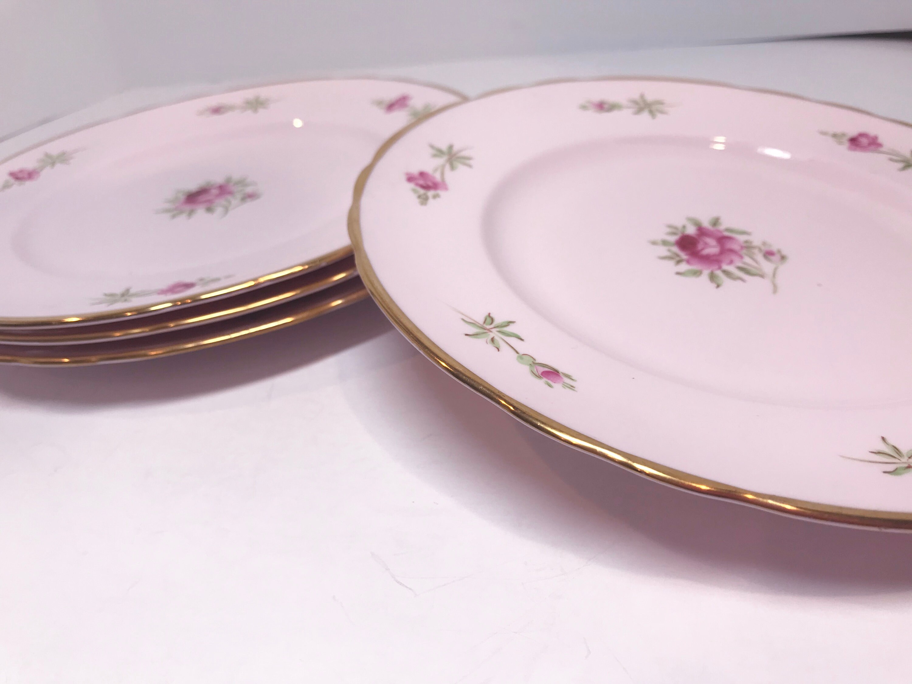 Hand Painted Pink Tuscan Plates, Vintage Plates, Antique Plates, Pink