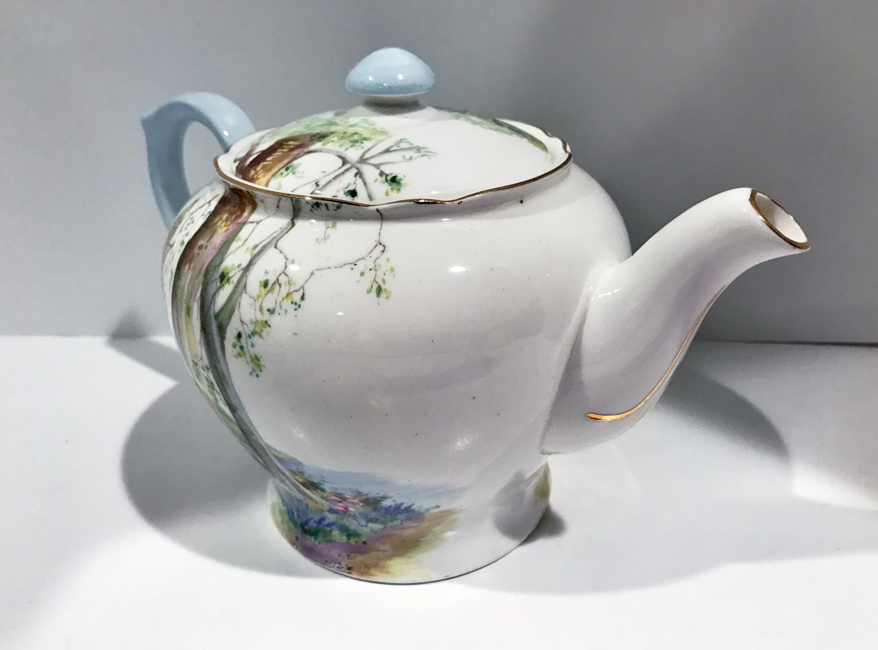 Shelley Teapot, Shelley Woodlands, Shelley China, Shelley Bone China, Shelley Teacups, Antique