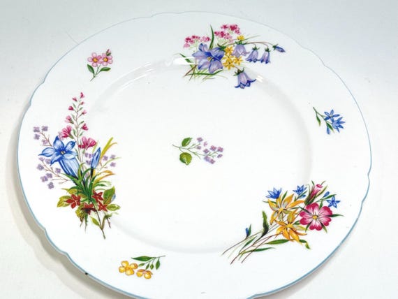 Shelley Wild Flowers Plate: Fine Bone China, 8.25 inch