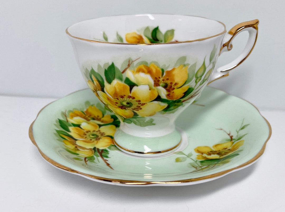 Royal Standard Tea Cup and Saucer Wild Rose Pattern Green Etsy