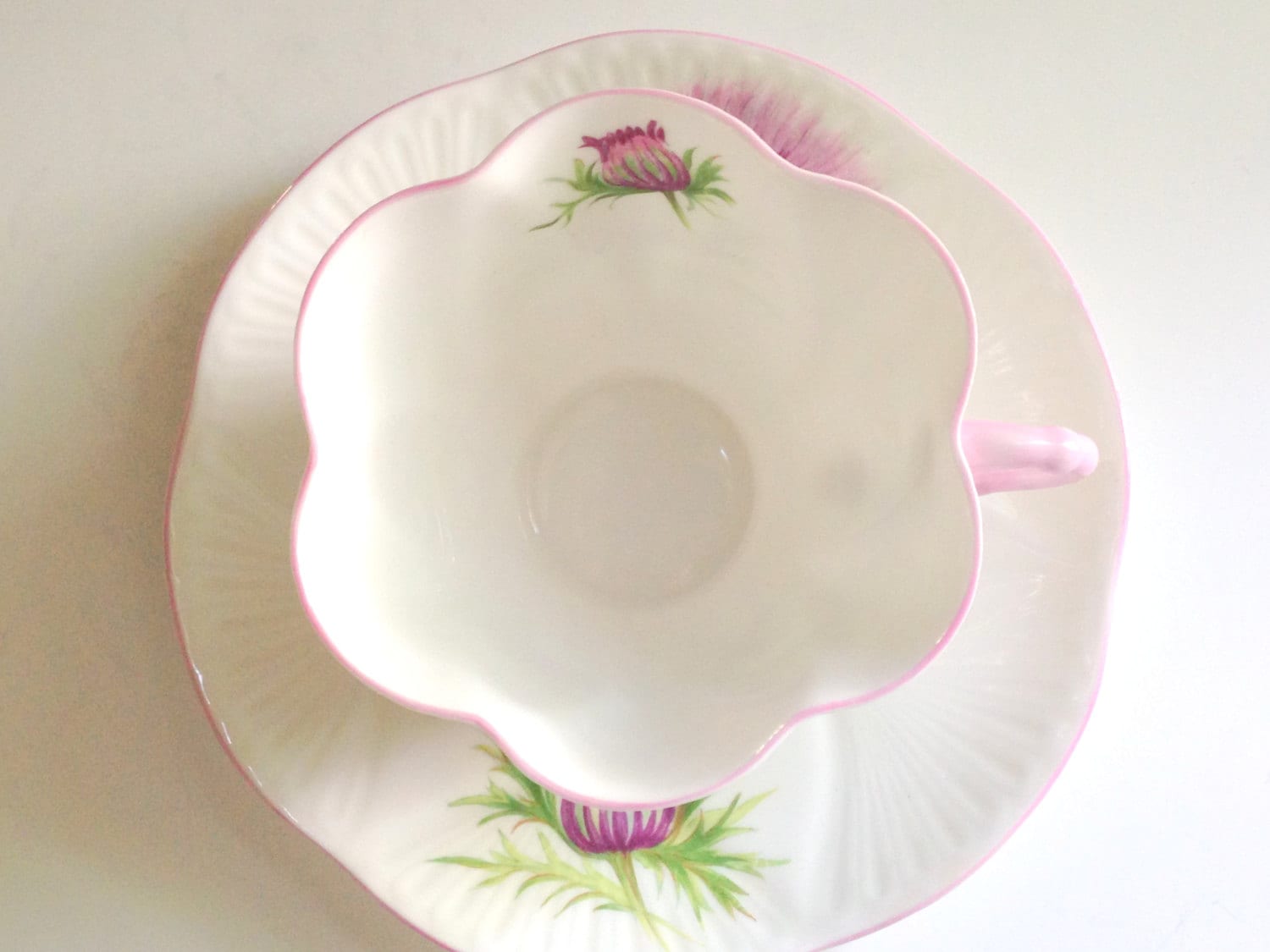 Scottish Thistle Shelley Tea Cup and Saucer, Thistle Pattern 13820