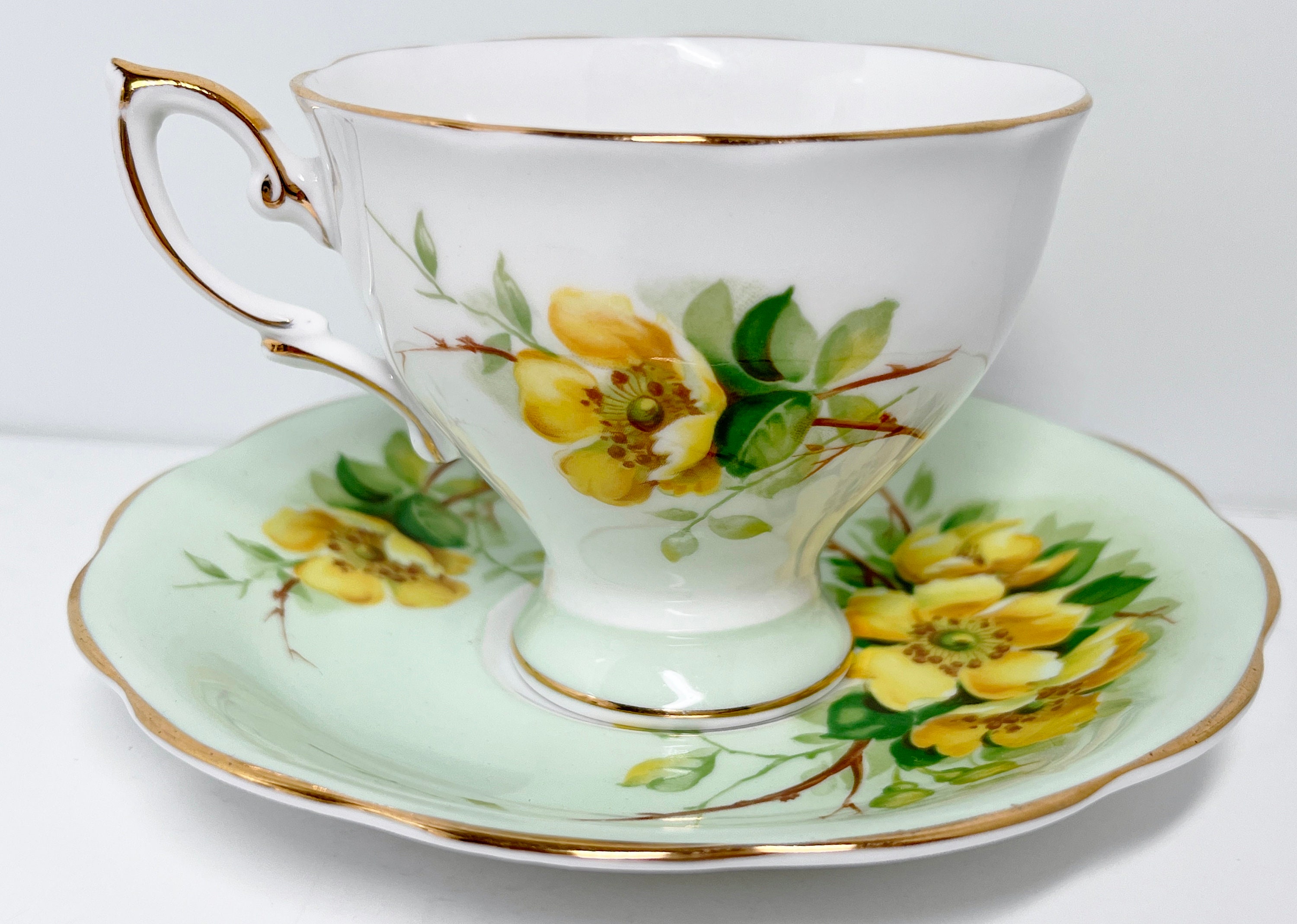 Royal Standard Tea Cup and Saucer Wild Rose Pattern Green Floral Tea