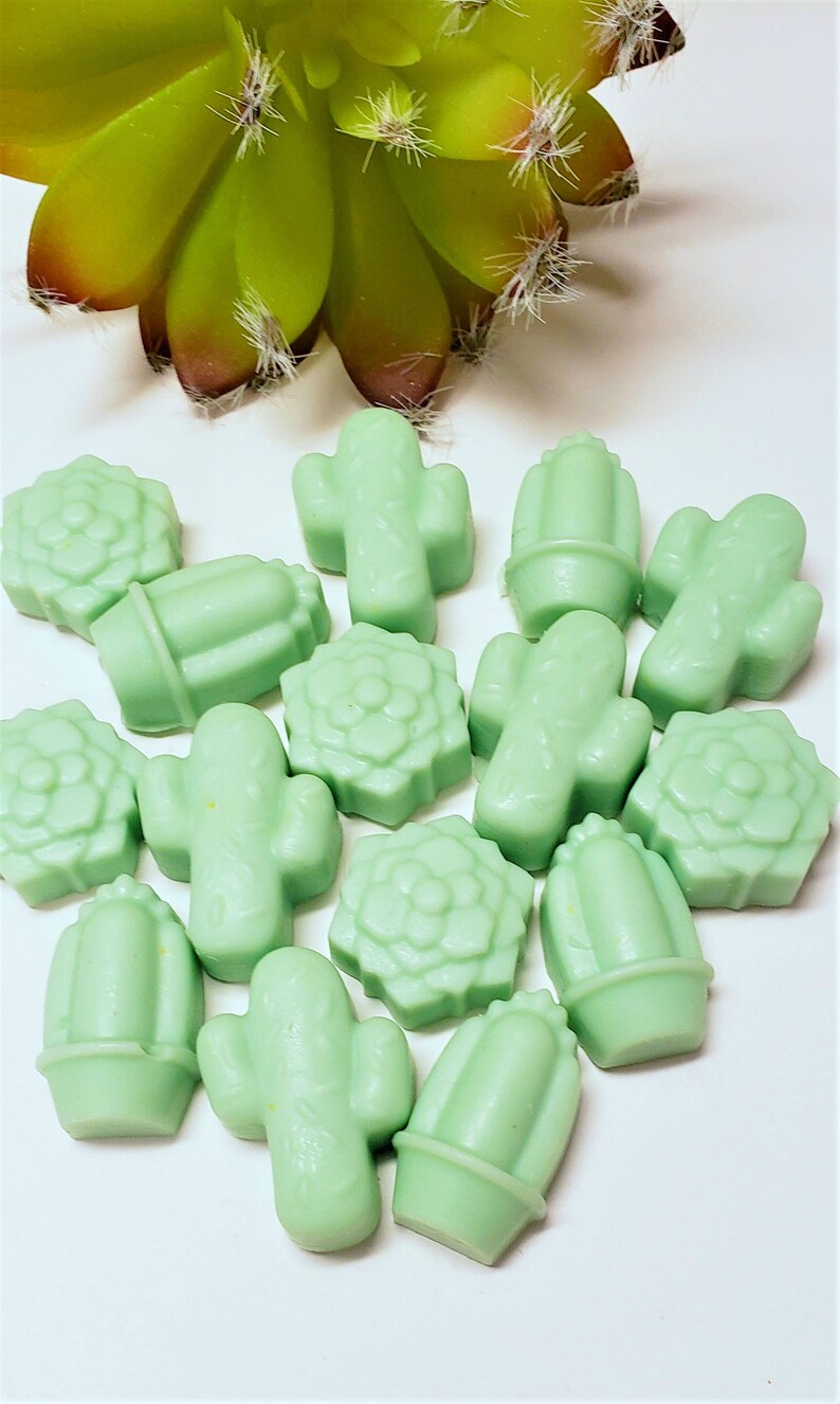 Cactus Flower Wax Melt Set of 15 Mini Cactus Wax Tarts for Etsy