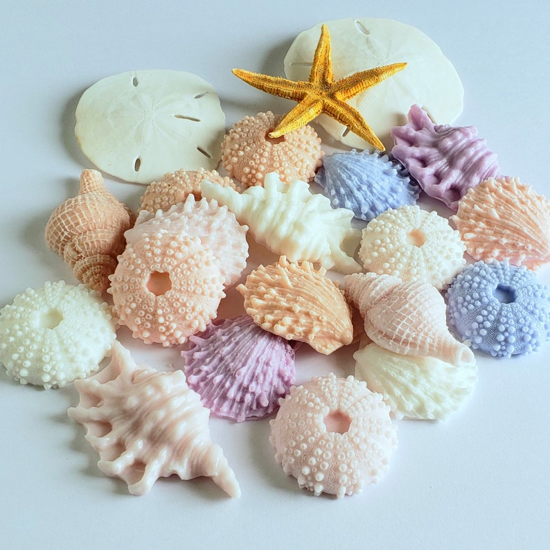 Bulk Seashell Soaps Set of 30 50 100 Small Blush Seashell Etsy