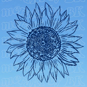 Dibujado a mano Girasol SVG, PNG, para estudio de diseño cricut, silueta de estudio, archivo de corte, calcomanía de vinilo, diseño de camiseta, plantilla de plantilla de plantilla