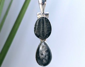 Sterling Silver with Trilobite & Orthoceras Fossil Pendant