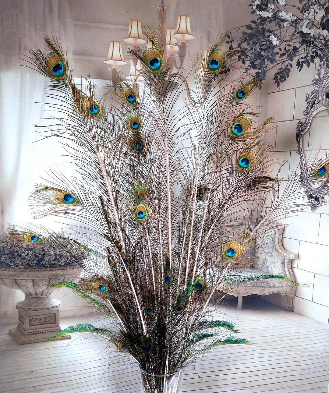 50 Natural Indian Blue Peacock Feathers Large Medium Small & Sword