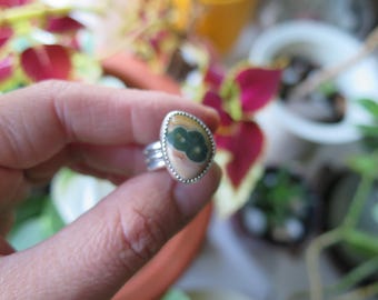 Op de afbeelding: Zilveren ring met een ovale steen. De steen heeft een donkergroen centraal patroon, beige en lichtbruine tinten. De ring heeft een getextureerde bezel en een drievoudig bandontwerp.
