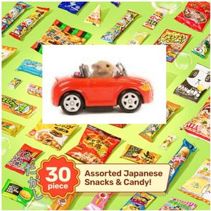 Japanese Snack Box Deluxe Lot Tokyo Treats Candy Snack Dagashi Bites Lot 30 piece Asian Import Bundle