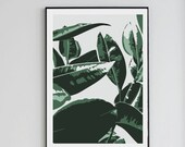 Banana Leaf Print  - Wall Decor - Home Decor - Digital Print - Tropical Decor - Leaf Prints - 50x70 - Custom Size
