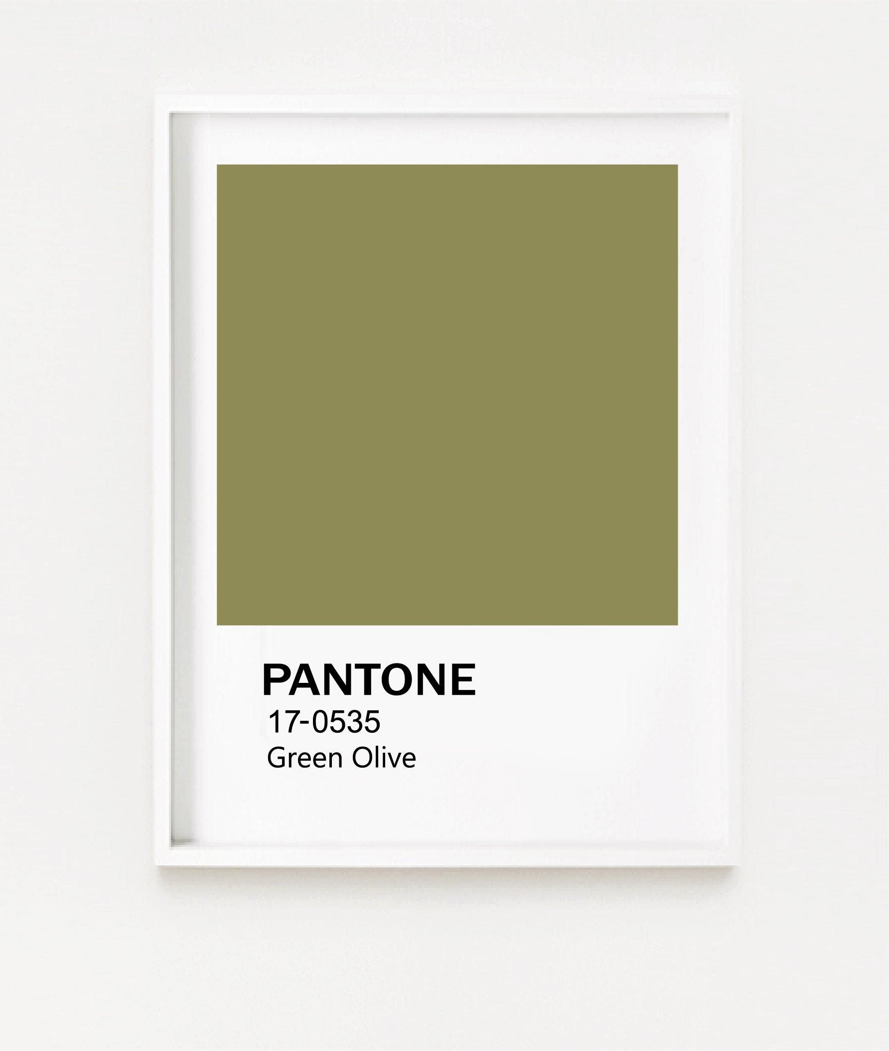 Olive Pantone prints Green Olive pantone wall art summer Etsy