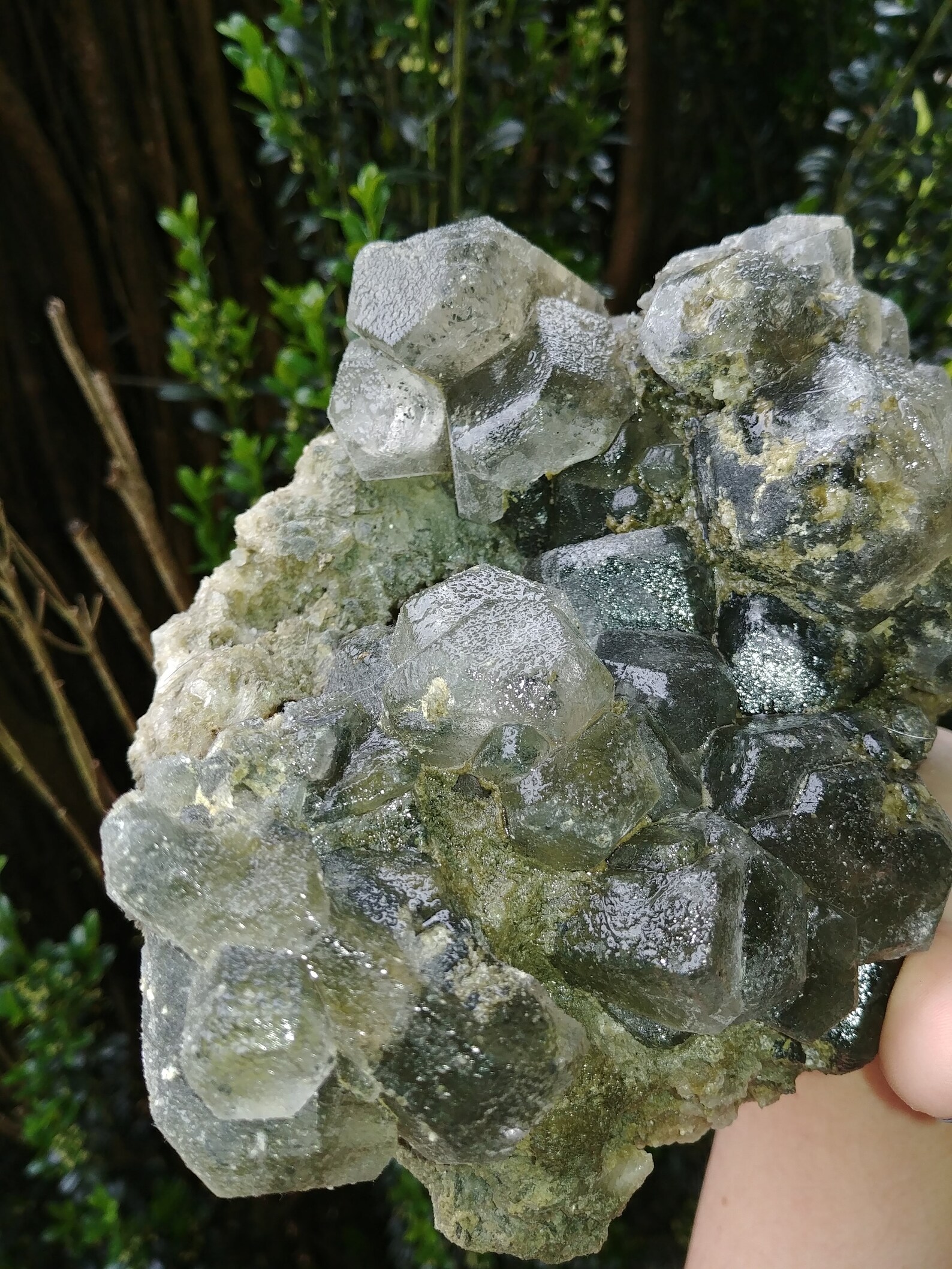 5lb Huge Euhedral Hanksite Crystal Mineral Specimen Gemstone Etsy