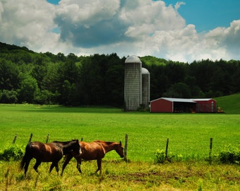 Vermont Farm, Horses in a Field Print, Landscape Photography, Red Barn, Country, Print "Sunday Afternoon"