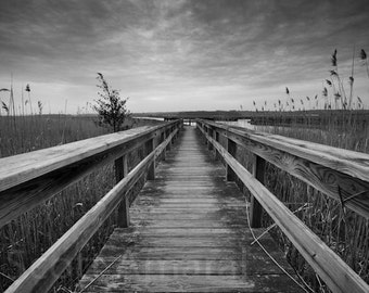 Scituate Marsh, Black and White Photo, print of a salt marsh walkway, Scituate Massachusetts