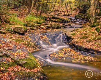 Dean Brook, River Cascades, Brook Photo, Color Autumn Nature Photography, Landscape Photography, River Print,