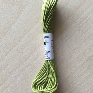 Soie d&#39;Alger  Seidenfäden Sticktwist Farbe grün 2123