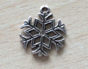 Snowflake the charms in silver