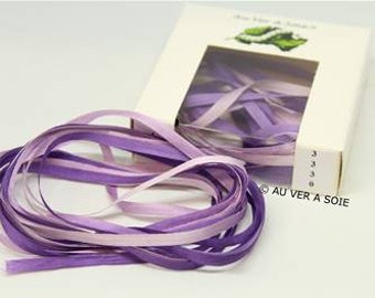 Silk ribbon 3330 degraded 4 mm French quality with silkworm