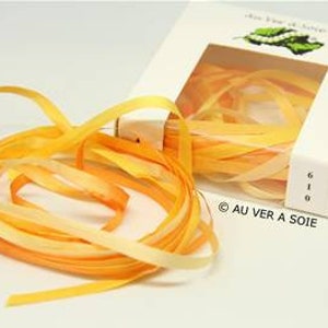 Silk ribbon 0610 degraded 4 m French quality with silkworm