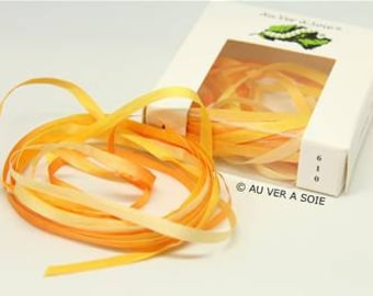 Silk ribbon 0610 degraded 4 m French quality with silkworm