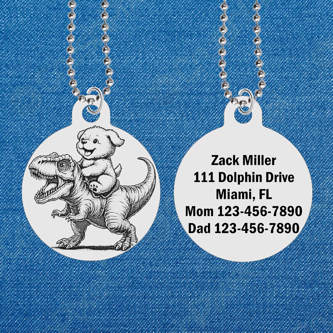 Personalized Dog Riding Dino Necklace: Engraved Kid's ID Tag - Etsy
