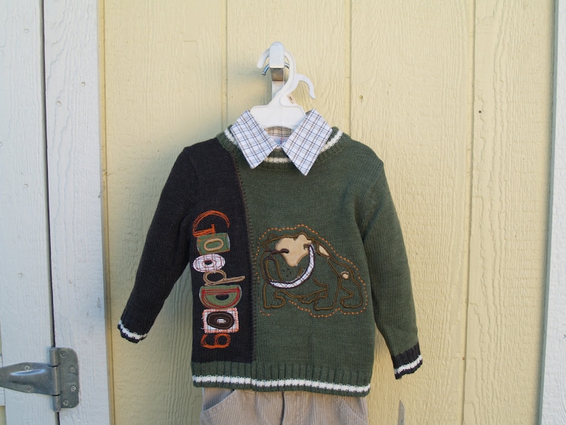 May include: A green and black sweater with a brown dog graphic and the text "Good Dog" on the front. The sweater has a white collared shirt underneath.