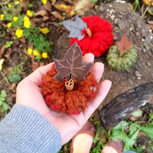 Puede incluir: Una mano sosteniendo una pequeña calabaza de crochet con una hoja de fieltro marrón en la parte superior. La calabaza es naranja y roja y tiene un tallo de canela. Hay otras dos calabazas de crochet en el fondo, una roja y una verde.