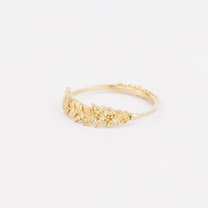 Barley Ring image 2