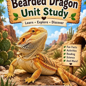 Puede incluir: Una portada educativa Bearded Dragon Unit Study con un dragón barbudo naranja y bronceado sobre una roca. El texto dice Bearded Dragon Unit Study, Learn Explore Discover, Fun Facts, Activities, Reading, Science, And More!, y Name.