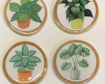 Plant magnets