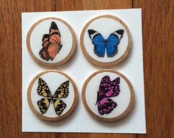 Butterfly magnets