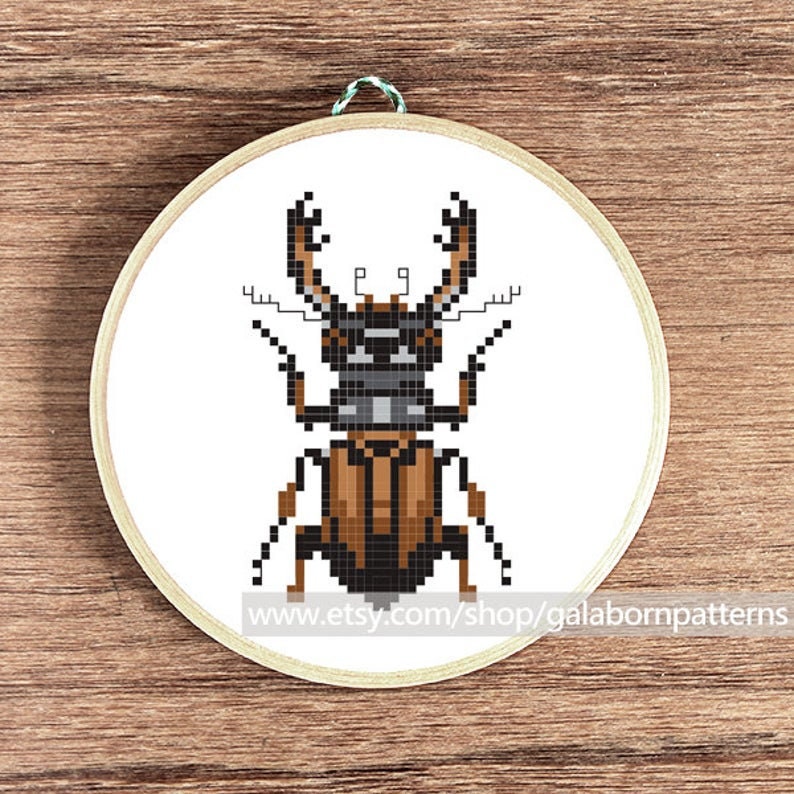 Insects cross stitch patterns PDF Set of 3 Counted cross Etsy