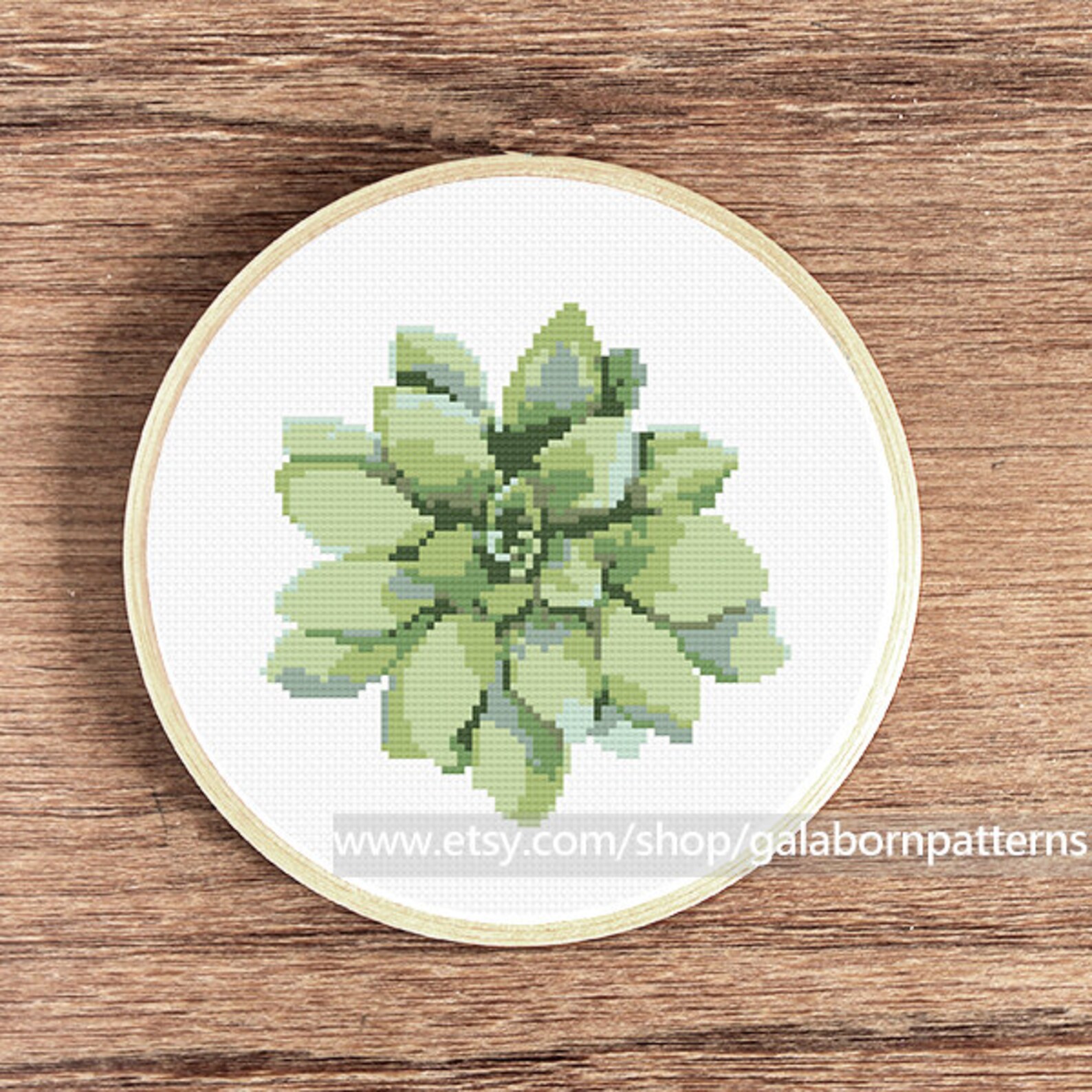 Succulent cross stitch pattern Cross stitch PDF Instant Etsy