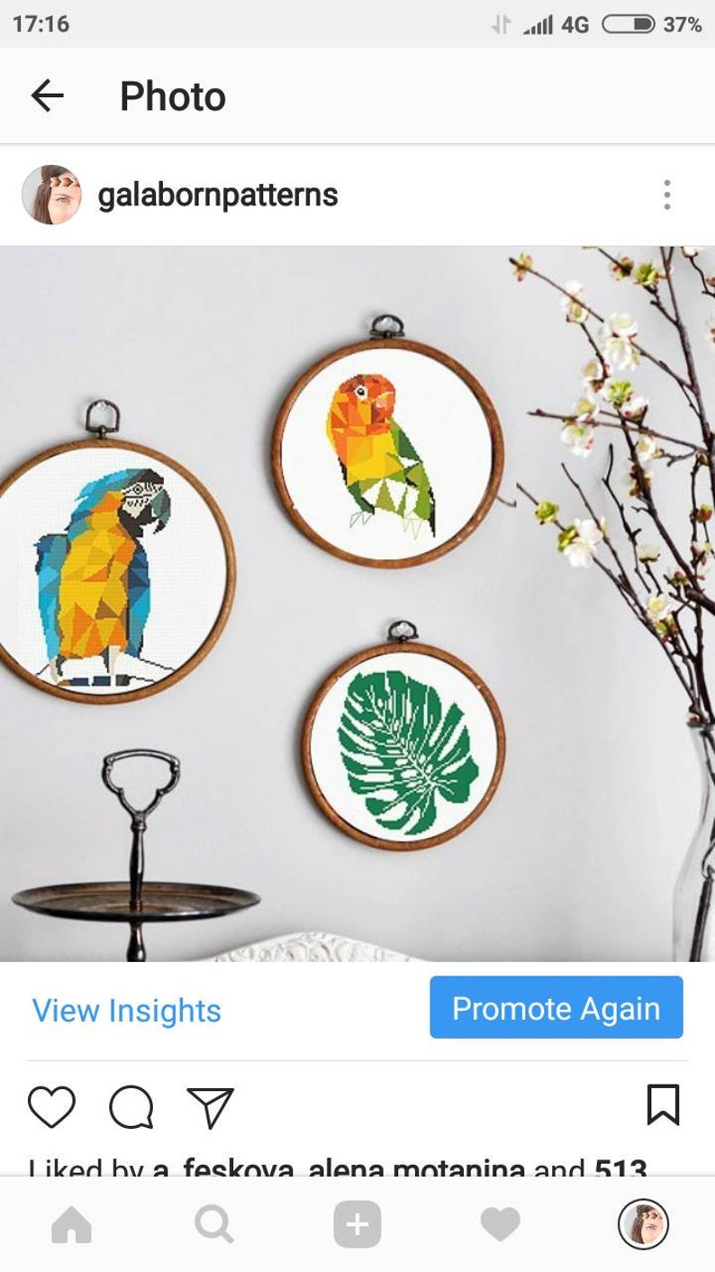 Macaw cross stitch pattern Modern cross stitch Geometric Bird Parrot Tropical nature