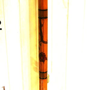 Walking/ Hiking Cane. ( C-1)