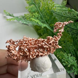 May include: A specimen of native copper from Australia featuring a metallic, branching, and crystalline structure. The copper is mounted on a small, white, rounded base atop a clear acrylic block with the text Native Copper Australia printed on it.