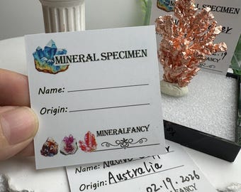 Etiquetas de identificación de muestras minerales (24 unidades por paquete), tarjeta de identificación mineral en blanco