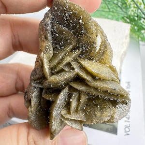 May include: A close-up of a rough, olive-green mineral formation. The mineral has a layered, petal-like structure with small, sparkling inclusions. The surface has a slightly rough texture. The mineral is held by a person's fingers.