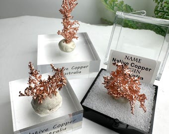 ¡Tú eliges! Ejemplar mineral dendrítico de cobre nativo arborescente con una caja alegre