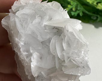 Ejemplar de mineral de calcita rosa blanca con reactivo UV rosa procedente de Hunan, China BAOF411